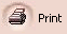 Print icon